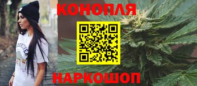 spice Новодвинск