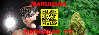 spice Новодвинск