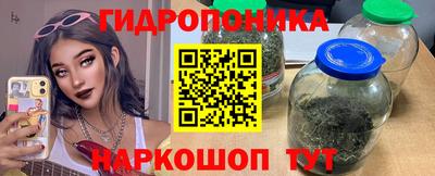 таблы Новозыбков