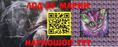 таблы Новозыбков