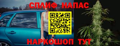 spice Новодвинск