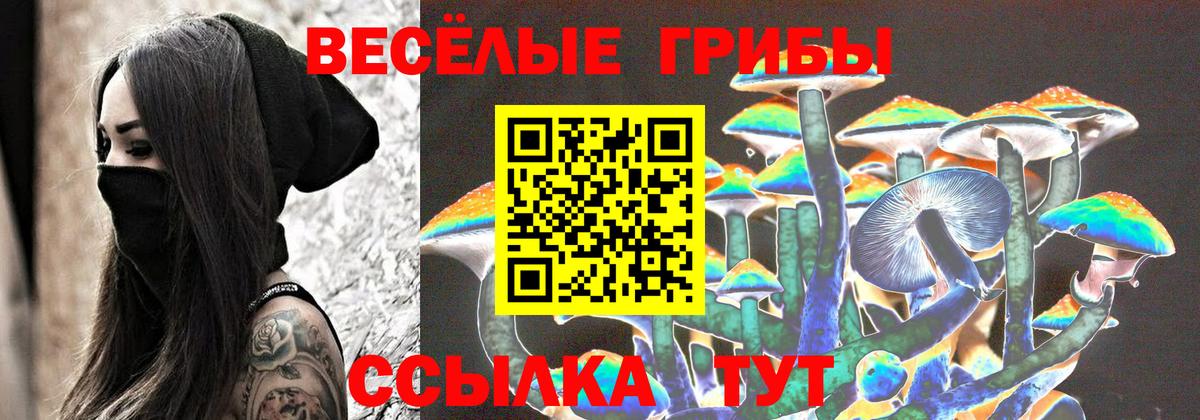Тобольск  Псилоцибиновые грибы Cubensis  Вход с VPN  Галлюциногенные грибы прущие грибы 